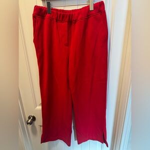 Express cozy sweatpants Red Women's Pants